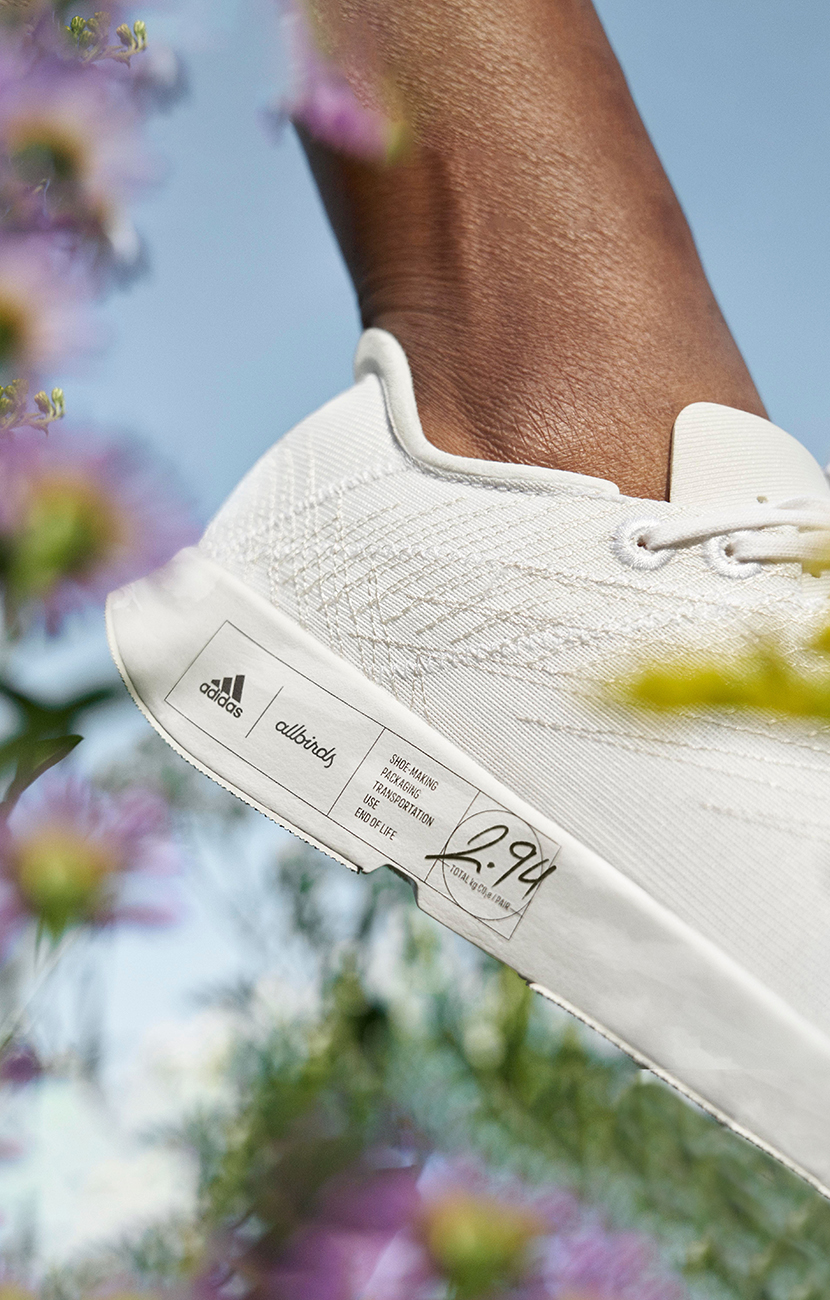 Performance running shoe Futurecraft.Footprint (Photo)